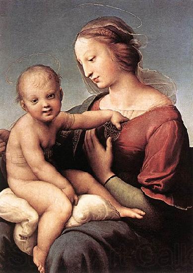 RAFFAELLO Sanzio Madonna and Child